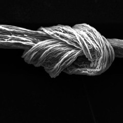 Fibers