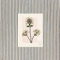 PREMIERE: Jeigo - Headpains [Fleurella Records]