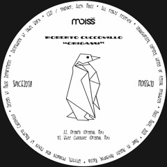 Roberto Cuccovillo - Origami (Original Mix)
