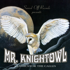 MR.KNIGHT OWL