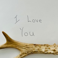 I Love You (ft. Ljazz Beats)