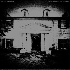 Carter Machina - #freediddybutnotnearme