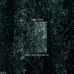 Amir Telem - Never Forgotten (Renga Weh Remix)