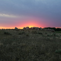 Nature's Chorus at Fox Ranch