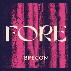 Brecon - Divulge