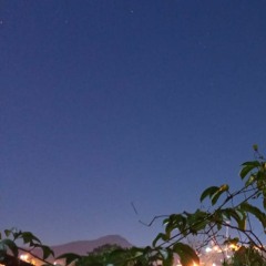 BRAZIL ZIL WILSON NETTO MIX