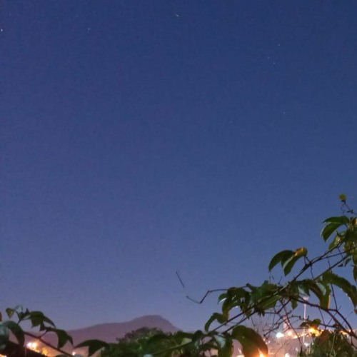 BRAZIL ZIL WILSON NETTO MIX