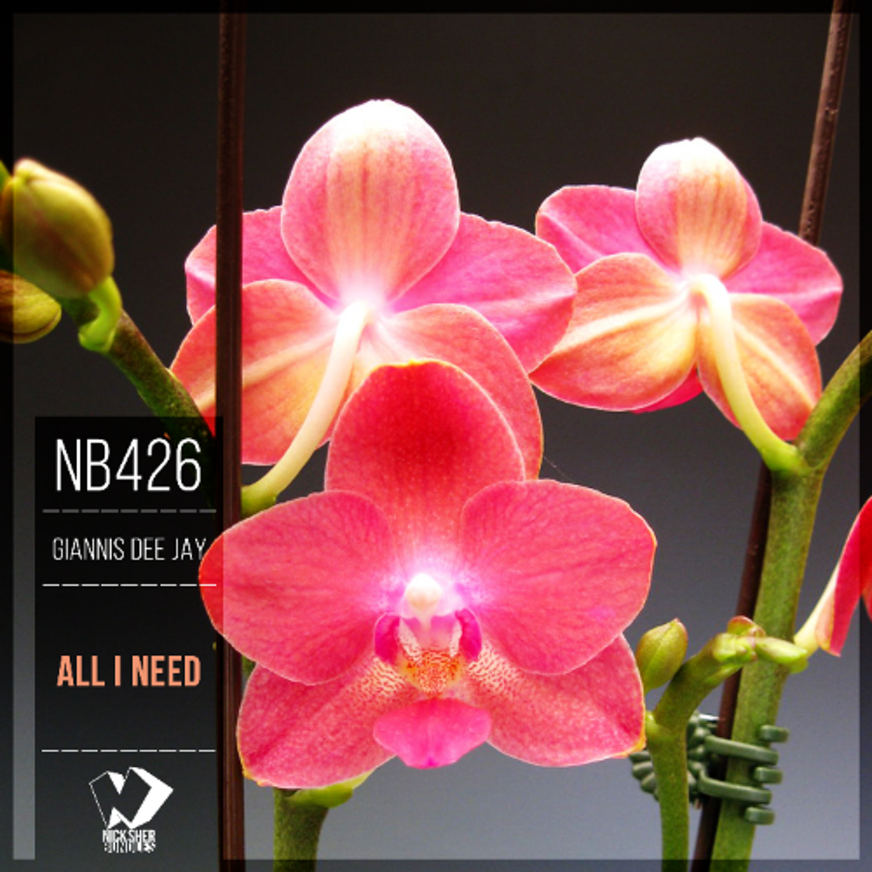 Giannis Dee Jay - All I Need (Original Mix) episode artwork