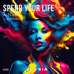 Spend Your Life (Radio Edit)