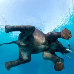 Journey into the Deep Vol 2