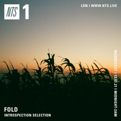 Fold On NTS Radio (14.1.21) Introspection Selection