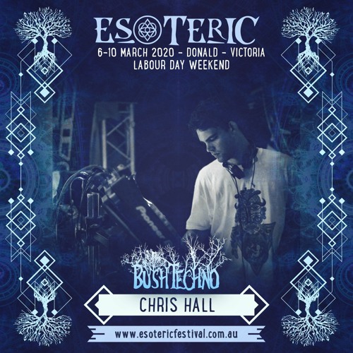 Chris Hall @ Esoteric Festival 2020 - Bush Techno Stage