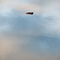 Gratious, He Said, Graciously, She Replied