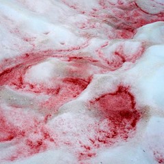 Красное На Снегу