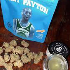 GARY PAYTON!
