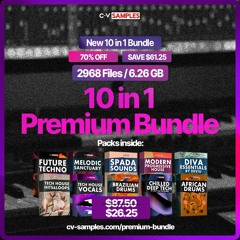 10 in 1 Premium Bundle | 70% OFF | 6.26 GB