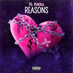 Reasons - TG Flocka X (JAY APOLLO)