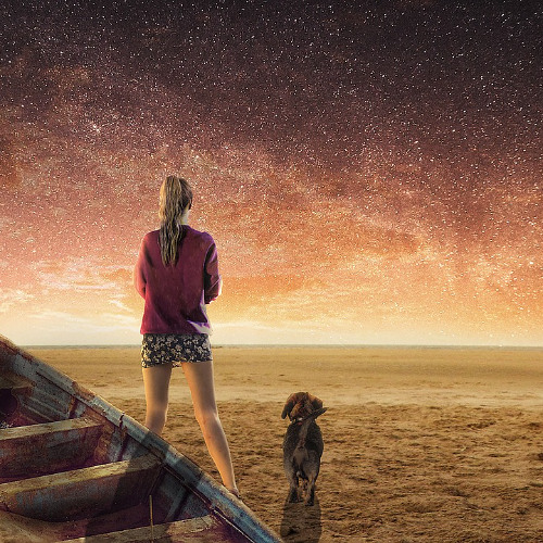 Sunset (2007)