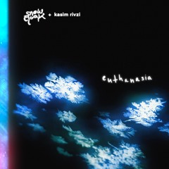 euthanasia (w/ kasim rizvi)