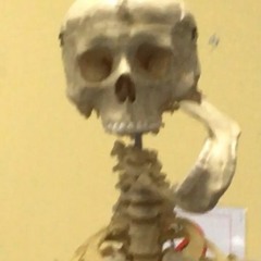 hiphop jazz instrumental