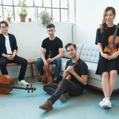 Beethoven String Quartet Op.59 No.1 in F Major Allegro