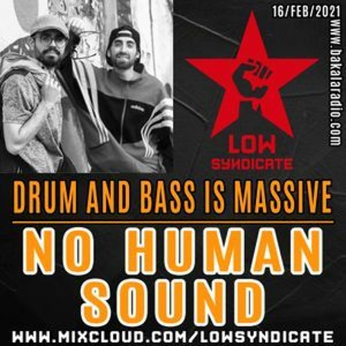 NoHumanSound Mix For LowSyndicate (Bakala Radio)_16/feb/2021