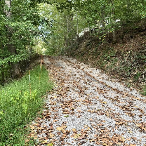 NORUE - Out Of Place feat. FAUXCUS.wav