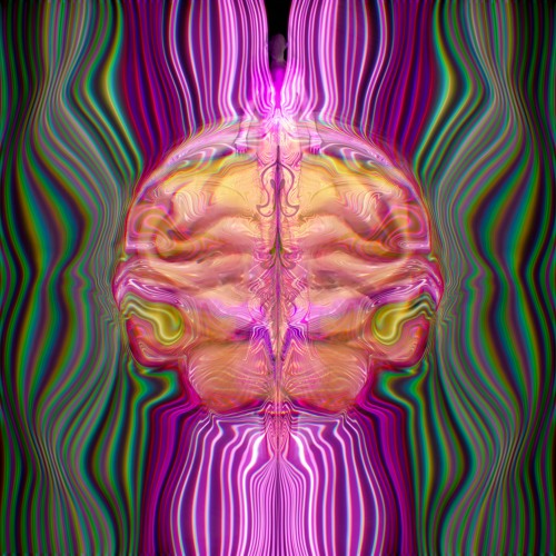 She Wanted To Try Acid