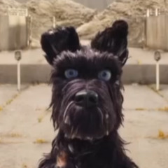 I bite (I dont know why I bite) - Isle of dogs