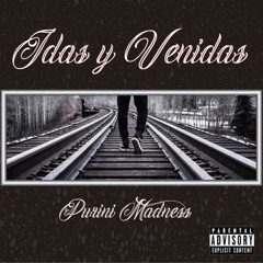 Idas y Venidas