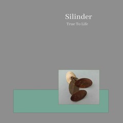 Silinder - True To Life [e.j.m.]