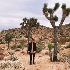 Manila Killa - Dusk Lights At Joshua Tree