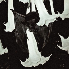 count up (feat. lil playah)