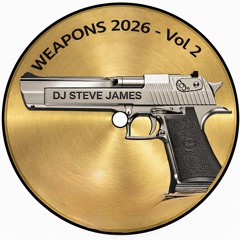WEAPONS MIX 2026 VOL 2 (Speed Garage, House and Garage)