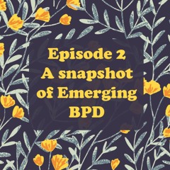 Episode 2 - A snapshot of emerging BPD