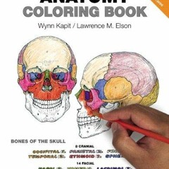 ePUB download The Anatomy Coloring Book Best Ebook download