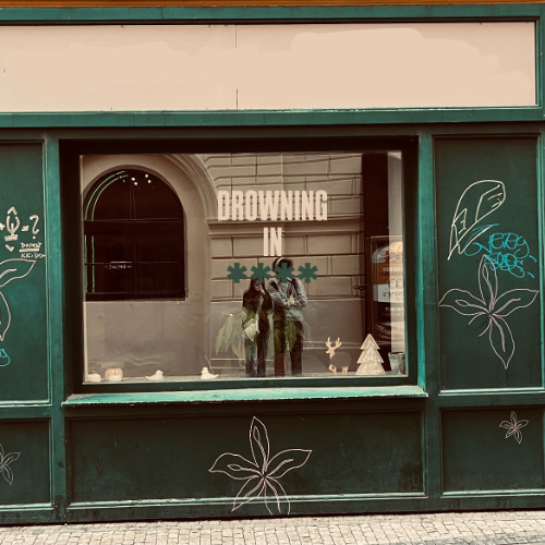 Drowning in ****