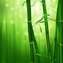 The Bamboo and the Wind