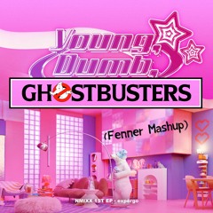 NMIXX - Young, Dumb, Ghostbusters (Fenner Mashup)