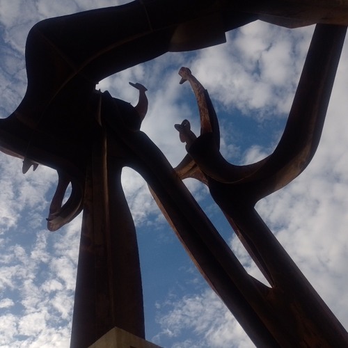 Temporada de chicharras