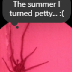 The summer I turned petty