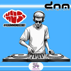 Digital Night Music pres. Krumm & Schief Edition 408
