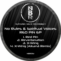 No Rules & Spiritual Voices - Red Pin [NBR051] Clip