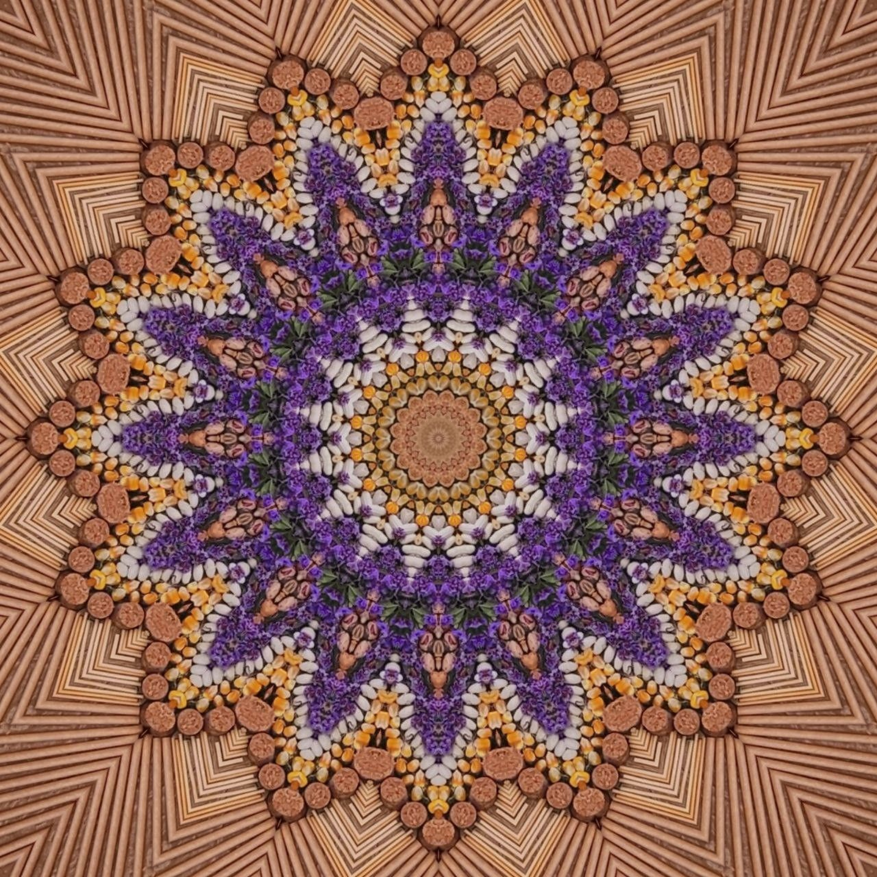 Dimensional Shift