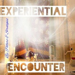 Experiential Encounter Session#13 by Pillars & Strategies