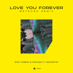 Love You Forever (Metrush Remix) [feat. Sam Martin]