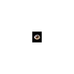 Eyeof theSheapherd👁️⁽ᵈᵉᵐᵒ⁾