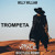 Artwork for Willy William - Trompeta (Matteo Vitale Bootleg Remix)
