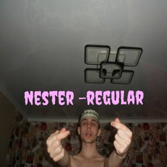 Nester ОБЫЧНАЯ\REGULAR