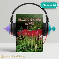 Ch01 难道你们不知道崇拜偶像是异端？